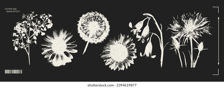 Elementos de moda con efecto retro fotocopia. elementos y2k para el diseño. Flores, manzanilla, girasol, diente de león. Efecto del grano y aplastamiento. La textura de los puntos vectores.	