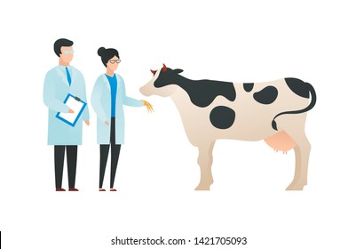 Trendy flat scientist character vector illustration. Set of cartoon male and female science team standing in front of cow. Concept of biology and gene modification, crispr. Design element.