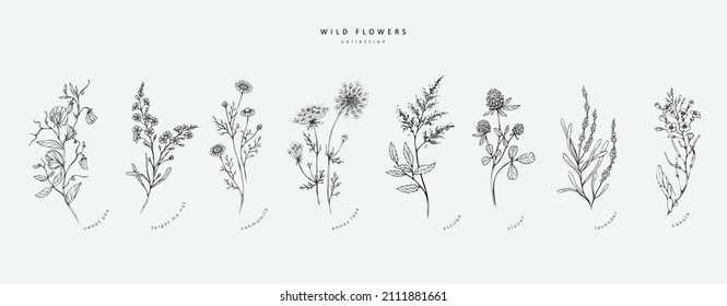 Trendfarbener Zweig und minimalistische Blumen für Logo oder Dekoration. Handgezeichnete Hochzeitskraut, elegante Blätter für die Einladung speichern Sie die Dattelkarte. Botanische rustikale Trendgrün