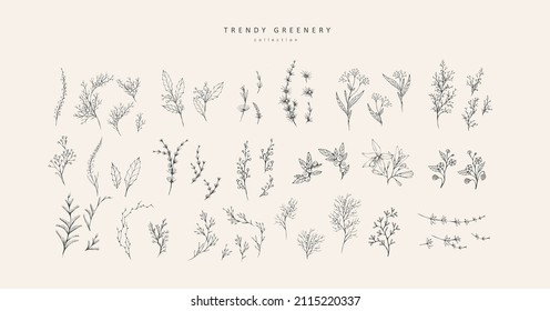 Trendy floral branch and minimalist flowers for logo or decorations. Hand drawn line wedding herb, elegant leaves for invitation save the date card. Botanical rustic trendy greenery