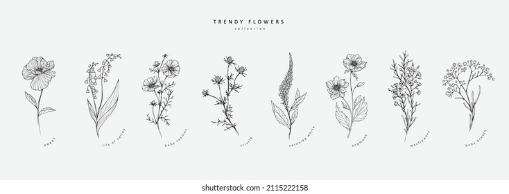 Rama floral moderna y flores minimalistas para el logotipo o la decoración. Hierba de bodas de la línea trazada a mano, hojas elegantes para invitación salven la tarjeta de fecha. Verdor botánico de moda