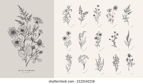 Trendy floral branch and minimalist flowers for logo or decorations. Hand drawn line wedding herb, elegant leaves for invitation save the date card. Botanical rustic trendy greenery