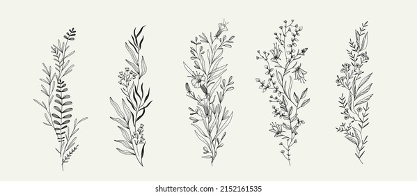 Trendy floral branch and minimalist flowers for logo or decorations. Hand drawn line wedding herb, elegant leaves for invitation save the date card. Botanical rustic trendy greenery