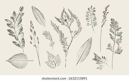 Trendy floral branch and minimalist flowers for logo or decorations. Hand drawn line wedding herb, elegant leaves for invitation save the date card. Botanical rustic trendy vector art.