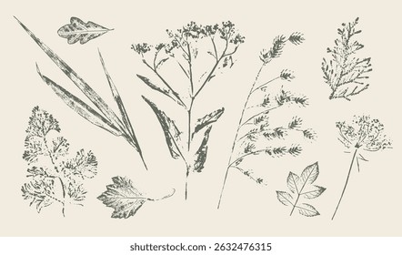 Trendy floral branch and minimalist flowers for logo or decorations. Hand drawn line wedding ormanemtns elegant leaves for invitation save the date card. Botanical rustic trendy vector art.