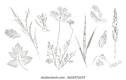 Trendy floral branch and minimalist flowers for logo or decorations. Hand drawn line wedding ormanemtns elegant leaves for invitation save the date card. Botanical rustic trendy vector art.