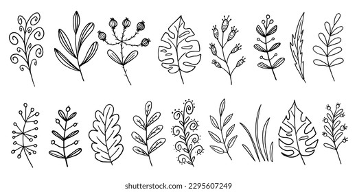 Trendy floral branchs, elegant wildflowers  and minimalist leaves in original doodle style.  Hand draw great for design, print or advertising.  Vector illustration EPS10. Isolated on white background