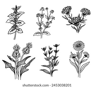 Trendy floral minimalist flowers for logo or decorations. Vintage trendy botanical elements. Wedding herb, elegant leaves for invitation save the date card.
