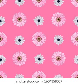 Trendy floral pattern with chrysanthemums. Lilac and pink flowers on a bright background. Bright summer fabric and textile design.
