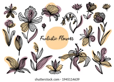 Trendy floral set. Hand-drawn contour lines of fantastic plants and flowers with abstract substrates of pastel colors. Lilies, orchids, poppies and tulips. Vector illustration isolated on white.