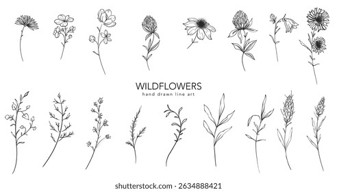 Flores silvestres florais da moda e folhas ilustração da arte da linha. Botanical Line Art Coleção de flores silvestres. Gráficos artísticos desenhados à mão. Luxo Linha Fina Floral Art. Perfeito para convite de casamento elegante 