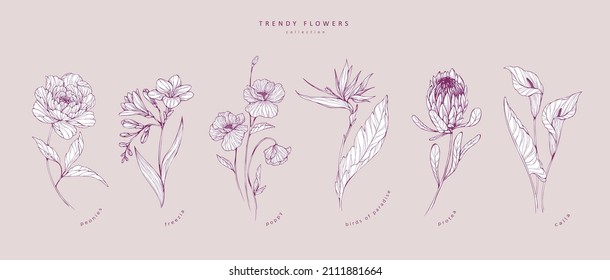 Trendy flowers for logo or decorations. Hand drawn line wedding decoraton, elegant leaves for invitation save the date card. Botanical rustic trendy greenery