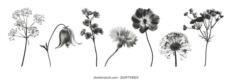 Trendy flowers photocopy stipple effect. Design element in trendy dotted pop art. Vector illustration isolated on transparent background.