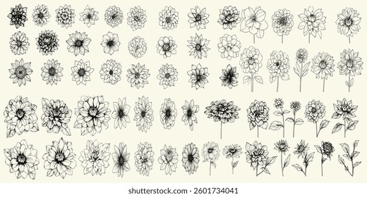 Trendy greenery and dahlias in black line art, feminine botanical floral branch for chic wedding invitations, personalized logos, luxury branding, elegant decor, hand-drawn designs