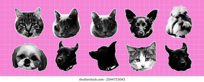 Trendy halftone collage cat and dog heads. Grunge punk collection