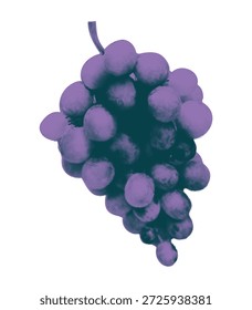 Elemento dúotono de media tonalidad de moda para el collage. Cortado de racimo de papel de uvas púrpuras con textura de puntos vintage. Ilustración vectorial retro moderna para medios mixtos aislados sobre fondo transparente