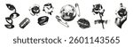 Trendy halftone monochrome stipple elements set. Various compositions with grunge punk dots texture for y2k collage design. Retro photocopy vector illustration for music album cover, poster, banner