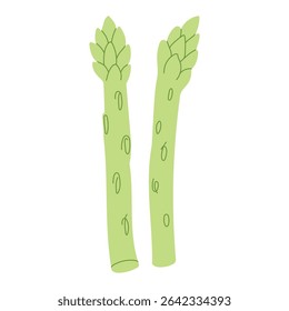 Espárragos dibujados a mano de moda ilustración vegetal aislado sobre fondo blanco. Estética mediterránea Abstractas moderna. Arte vectorial para la decoración del hogar, espacios de comedor