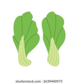 Trendy Hand Drawn Bok choy cabbage vegetable Illustration isolated on white background. Modern Abstract Mediterranean Aesthetic. Vector Art for Home Decor, Dining Spaces