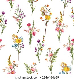 Sketch wild flowers pattern. Field plants, flower hand drawn