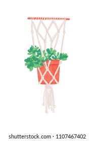 Trendy hanging flower pot with succulents. Hand drawn vector illustration.