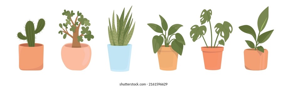 Trendy home decor with plants, rubber plant, sansevieria, dracaena, cactus, monstera, spathiphyllum. Tropical leaves in stylish planters and pots. Houseplants isolated. Vector illustration.