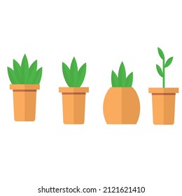 Trendy Home Pot Plants Vector,  Tropical Green Plants.