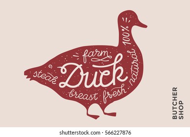 Trendy illustration with red duck silhouette and words Duck, fresh, steak, breast, farm. Creative graphic design for butcher shop, farmer market. Poster for meat related theme. Vector Illustration