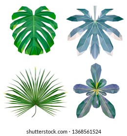 trendy low poly set of four tropical leaves, botanical sketch of  vector graphic colour illustration on white background