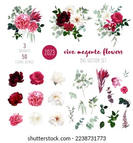 Trendy magenta bouquets vector design big set. Hot pink roses, barbie pink ranunculus, white peony, dark orchid, hydrangea, ivory magnolia, carnation. All elements are isolated and editable on white. 