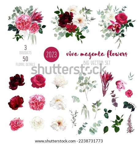 Similar – Image, Stock Photo Pink carnation flowers