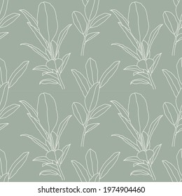 Trendy minimalist seamless botanical pattern with line art composition