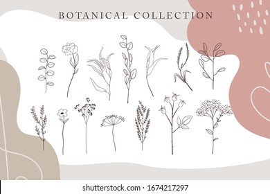 Trendy minimalistic flower graphic sketch drawing, tiny tattoo design, floral botanic elements vector illustration collection. Eps 10 tender set