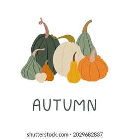 Trendy modern illustration of a collection of pumpkins in natural colors. Doodle drawings. With inscription - autumn. For cards, prints, decorations, etc. 