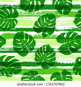Trendy monstera philodendron liana hole leaves over painted stripes seamless pattern design. Brazilian exotic foliage summer fashion print. Tropical leaves silhouettes wallpaper.