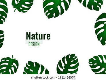 Trendy natural design of bright monstera leaves, place for text, white background. Modern botanical vector illustrations for advertising.