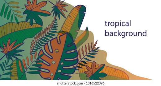 Trendy natural horizontal background with green autumn colored lush tropical vegetation, exotic leaves or jungle foliage and place for text. Modern botanical vector illustration for advertisement