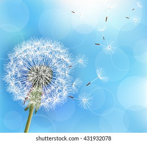 Trendy nature light blue background with flower dandelion blowing seeds. Stylish floral summer or spring wallpaper. Vector illustration