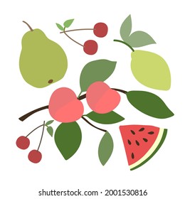 Trendy nature pattern, gardening. Abstract flowers, leaves, watermelon, pear, apricot, cherry drawing on a white background, abstract, hand drawn, packaging, wallpaper, design for textiles, vector 