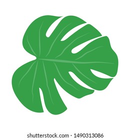 Trendy palm, great design for any purposes on white background. Floral illustration. Exotic forest tree. Vector floral design card. Botanical drawing. Natural backdrop. Vector illustration template