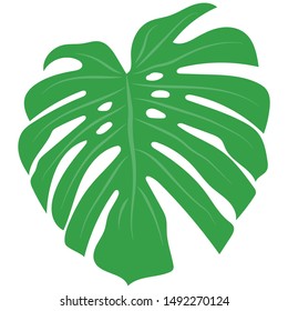 Trendy palm, great design for any purposes on white background. Floral illustration. Exotic forest tree. Vector floral design card. Botanical drawing. Natural backdrop. Vector illustration template