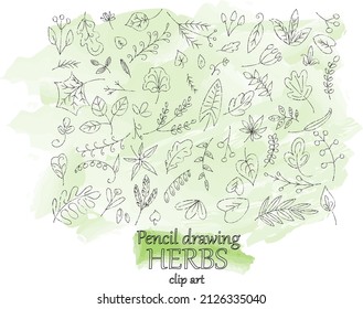 Trendy Bleistift-Zeichnung Blumenelemente für jedes Design von Hand in Vektorgrafik und einzeln auf grünem Aquarellhintergrund. Clipkunst aus Wildpflanzenkräutern, Blättern, Ästen und Beeren-Silhouetten.