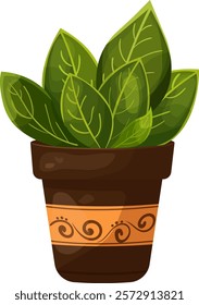 Trendy potted plants for home. houseplants in a pots for home, office, premises decor. Vector illustration