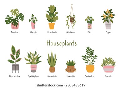 Trendy potted plants set with titles, cartoon style. Indoor houseplants for interior. Urban Cozy home gardening hobby. Modern isolated vector illustration, hand drawn, flat.