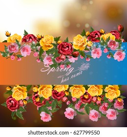 Trendy realistic vector illustration of rose bush or bouquet of roses. Spring or summer design, original floral template of invitation