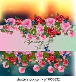 Trendy realistic vector illustration of rose bush or bouquet of roses. Spring or summer design, original floral template of invitation