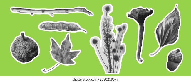 Trendy retro photocopy effect nature elements in vector. isolated halftone collage elements for backgrounds motion posters postcards design stickers