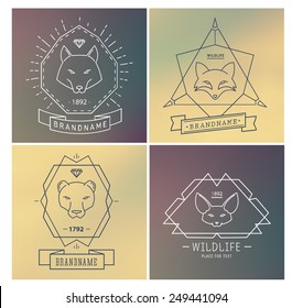 Trendy Retro Vintage Insignias Bundle. Animals. Wolf, koala, fox. Vector set of outline emblems and badges - abstract hipster logo templates