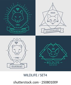 Trendy Retro Vintage Insignias Bundle. Animals. Wolf, lion, fox. Vector set of outline emblems and badges - abstract hipster logo templates