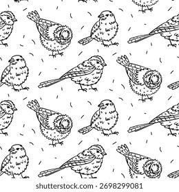 Patrón sin fisuras de moda de pájaros de contorno de Vector dibujados a mano en varias poses sentadas. Textura doodle monocromática perfecta para textil, Fondos de pantalla, papel digital y proyectos de diseño rústico o natural